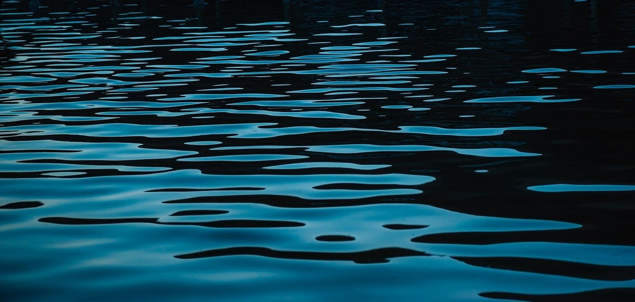 Qu’est-ce qu’une piscine biologique ?