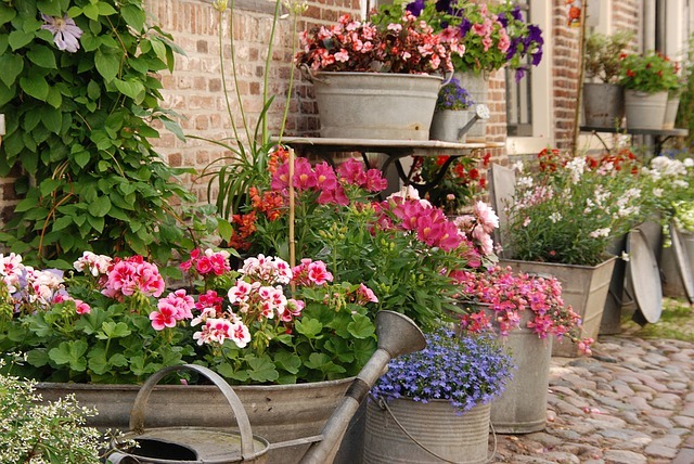 Jardinière suspendue en seau galvanisé
