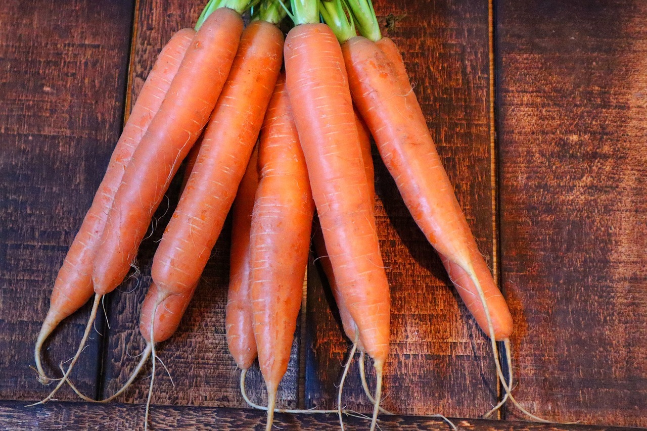 Variétés de carottes : comment et quand semer ?