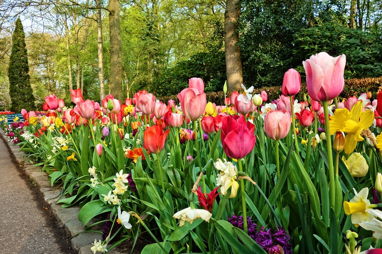 Comment créer vos propres bordures de jardin ?