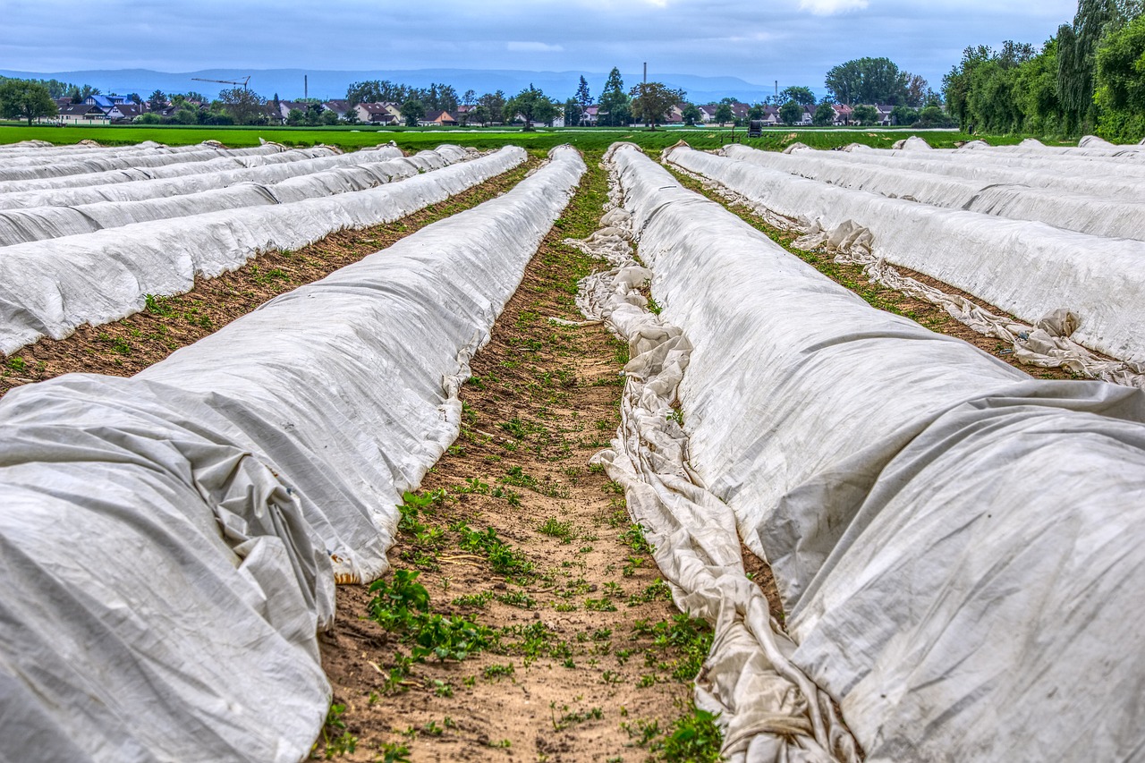 Quelles sont les différentes bâches de jardin ?
