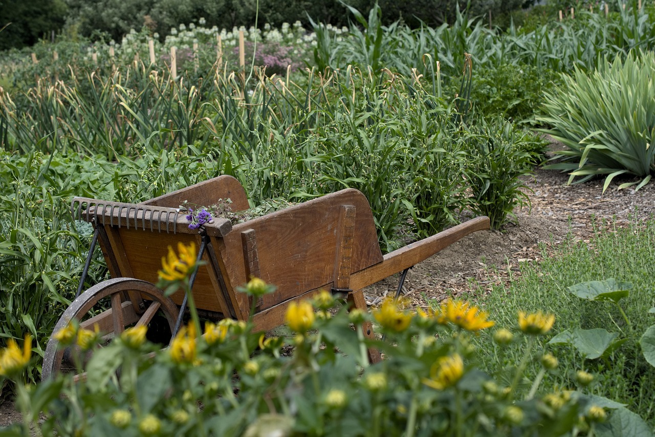 Les Outils essentiels pour créer et entretenir un potager