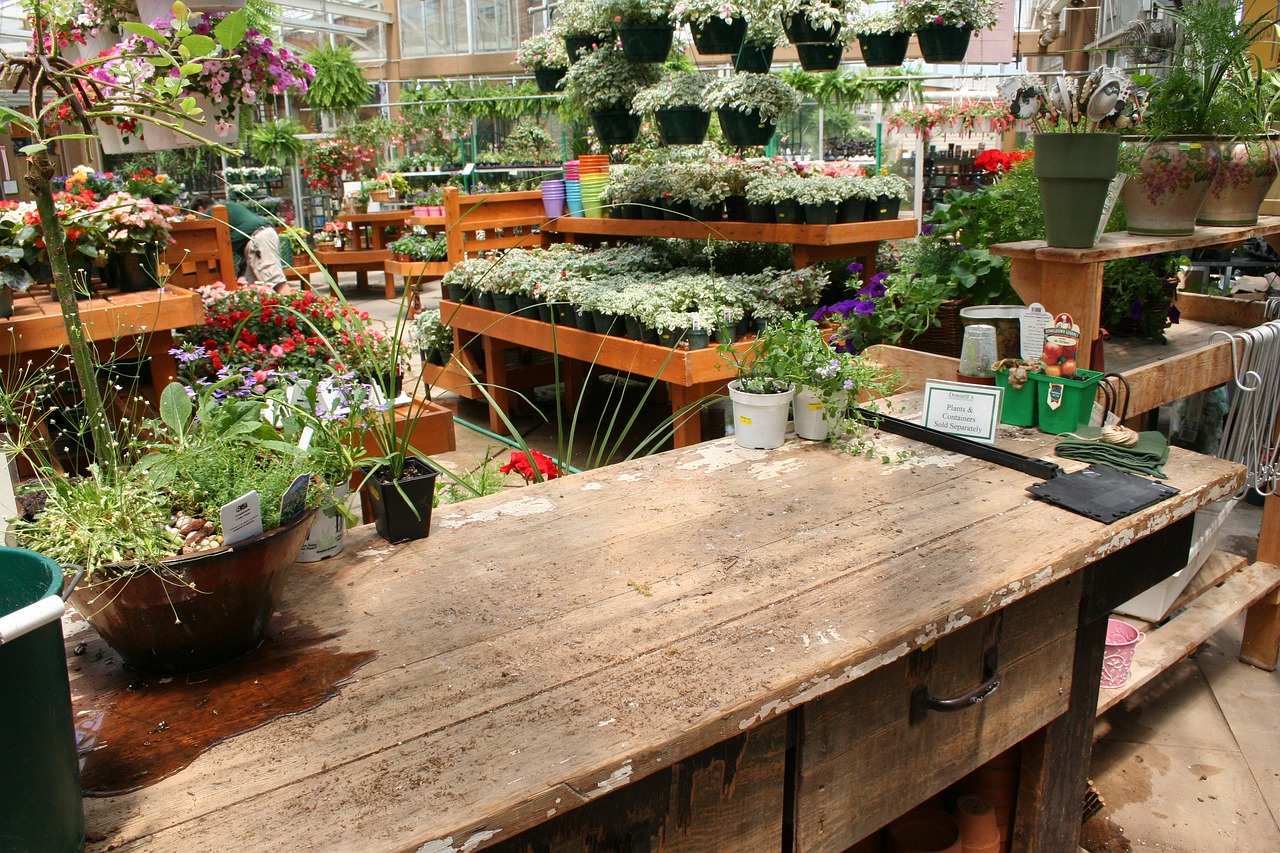 Découvrez Willemse, votre jardinerie en ligne de référence