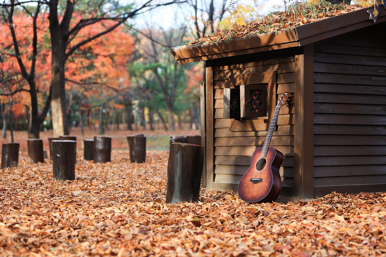 abris de jardin pas cher