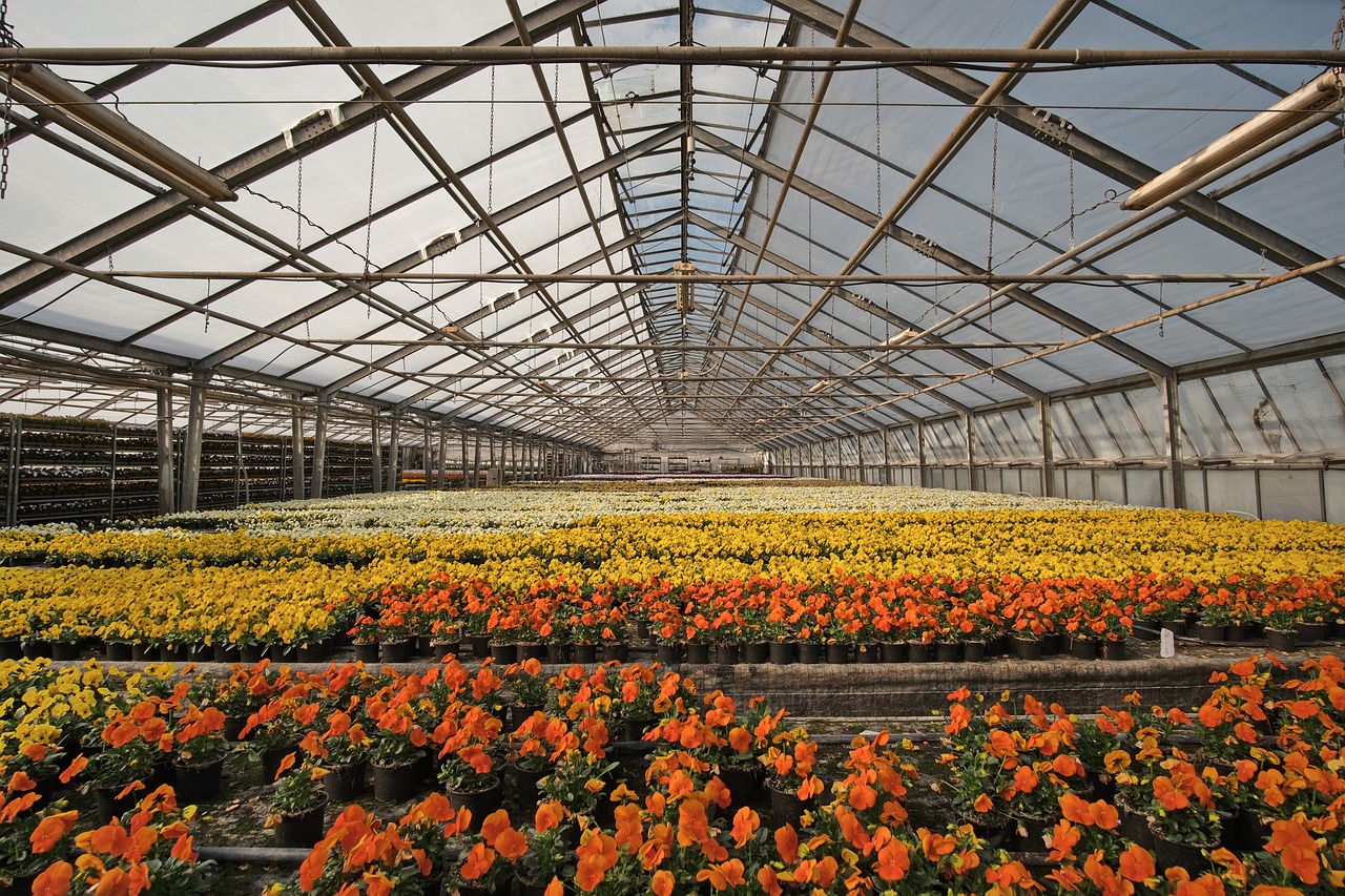 Découvrez la pépinière de Vertou pour vos plantes et végétaux