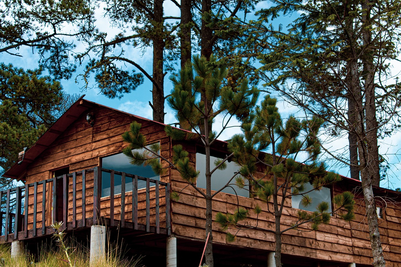 Les essences de bois les plus adaptées pour le bardage extérieur