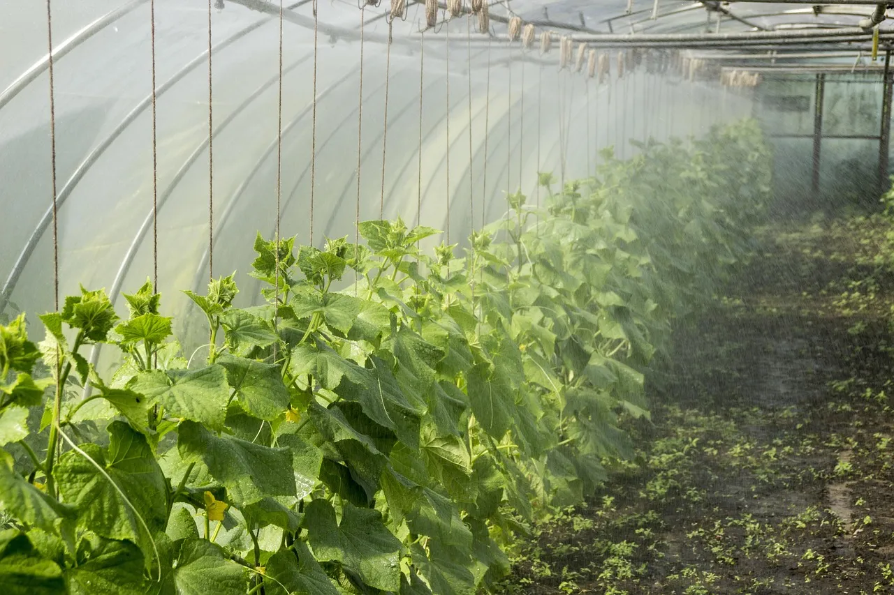 Conseils pratiques pour créer un potager en permaculture durable