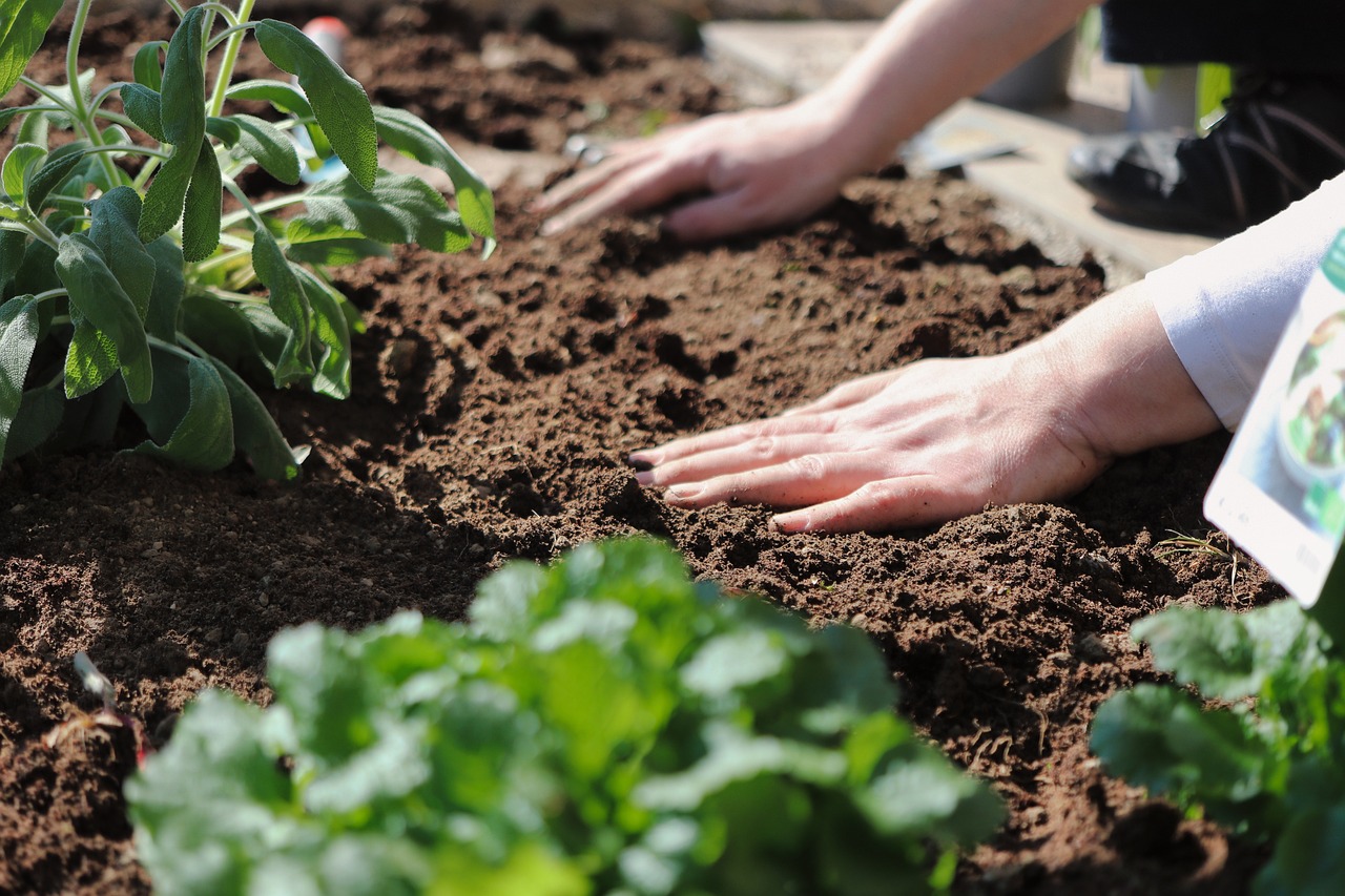 Les différentes méthodes pour fertiliser votre jardin naturellement
