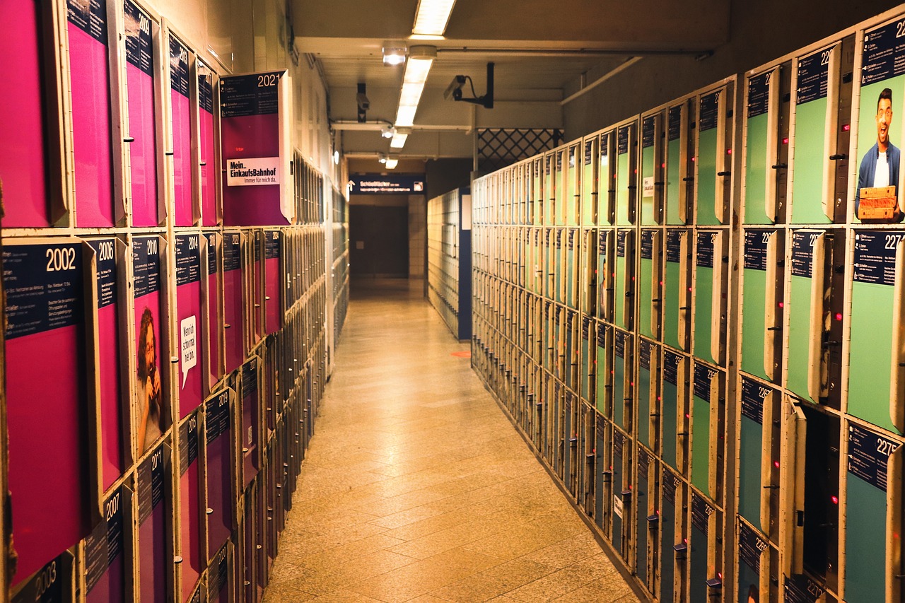 Solution de stockage pour optimiser l’espace de son jardin à Roanne