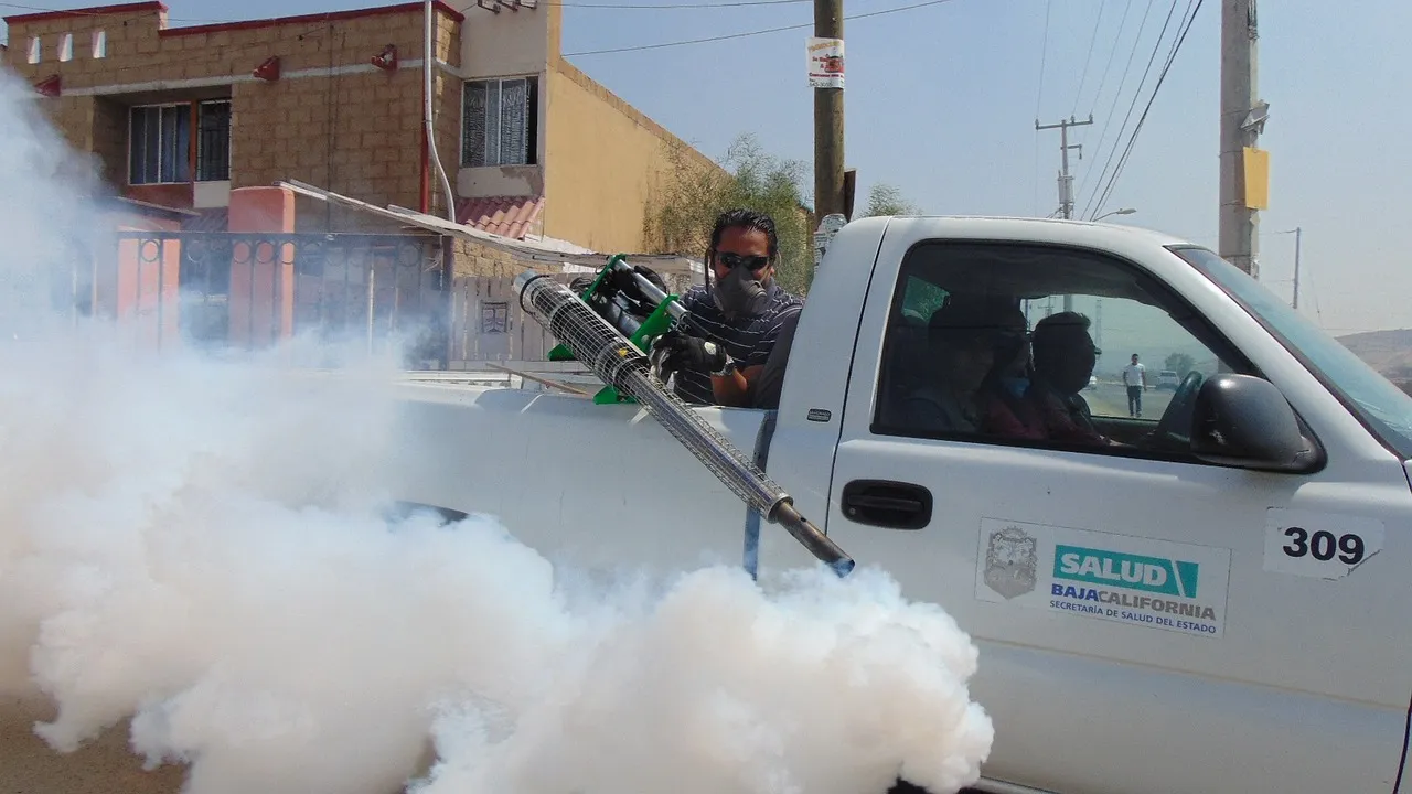 Se débarrasser des nuisibles grâce aux spécialistes en dératisation