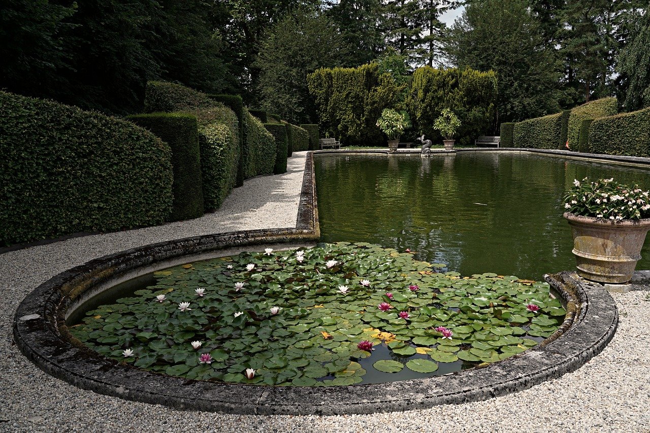 Découvrez comment la pompe Oase révolutionne votre bassin de jardin !