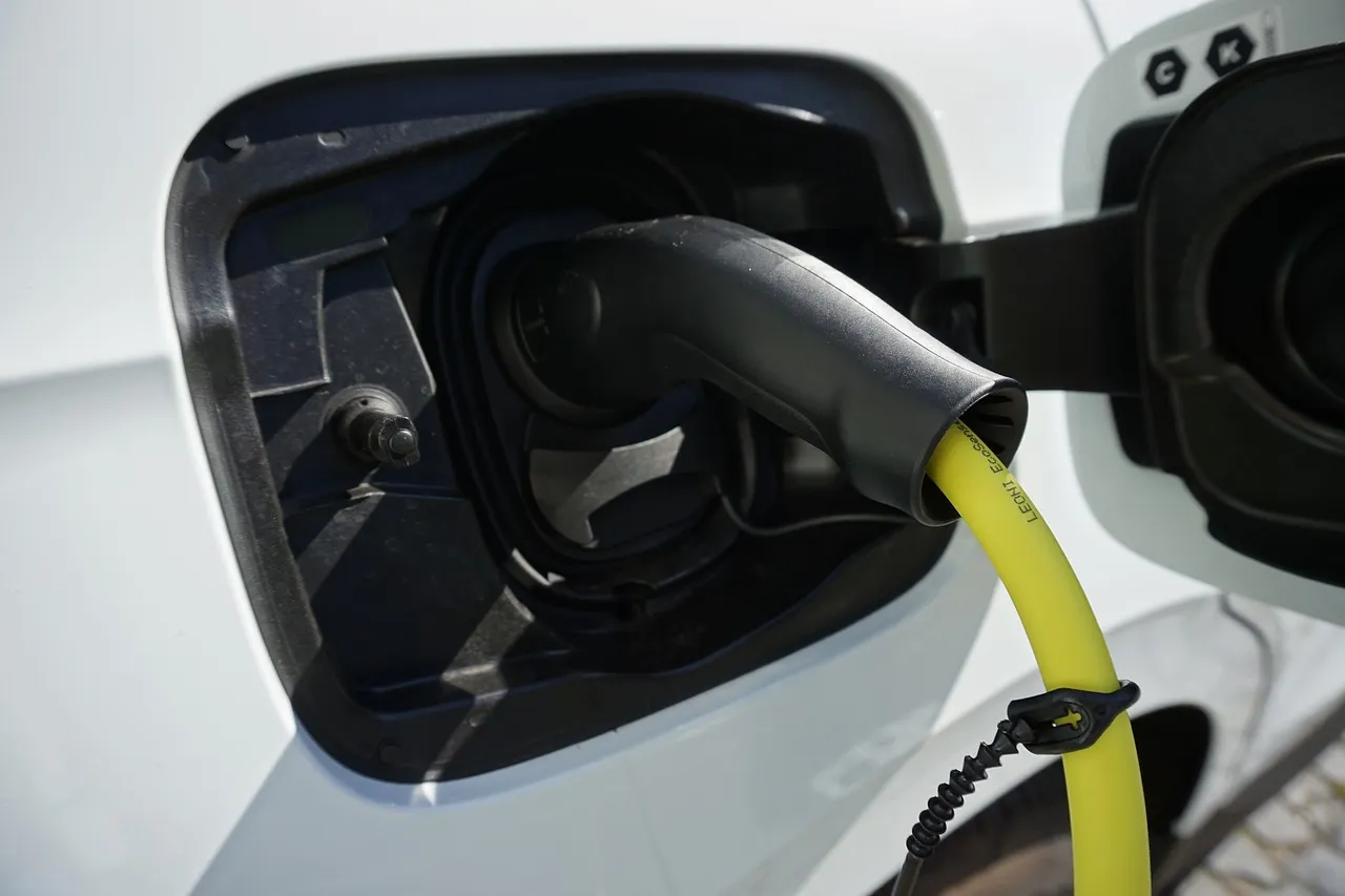 Pourquoi faire appel à un installateur de borne de recharge chez soi ?