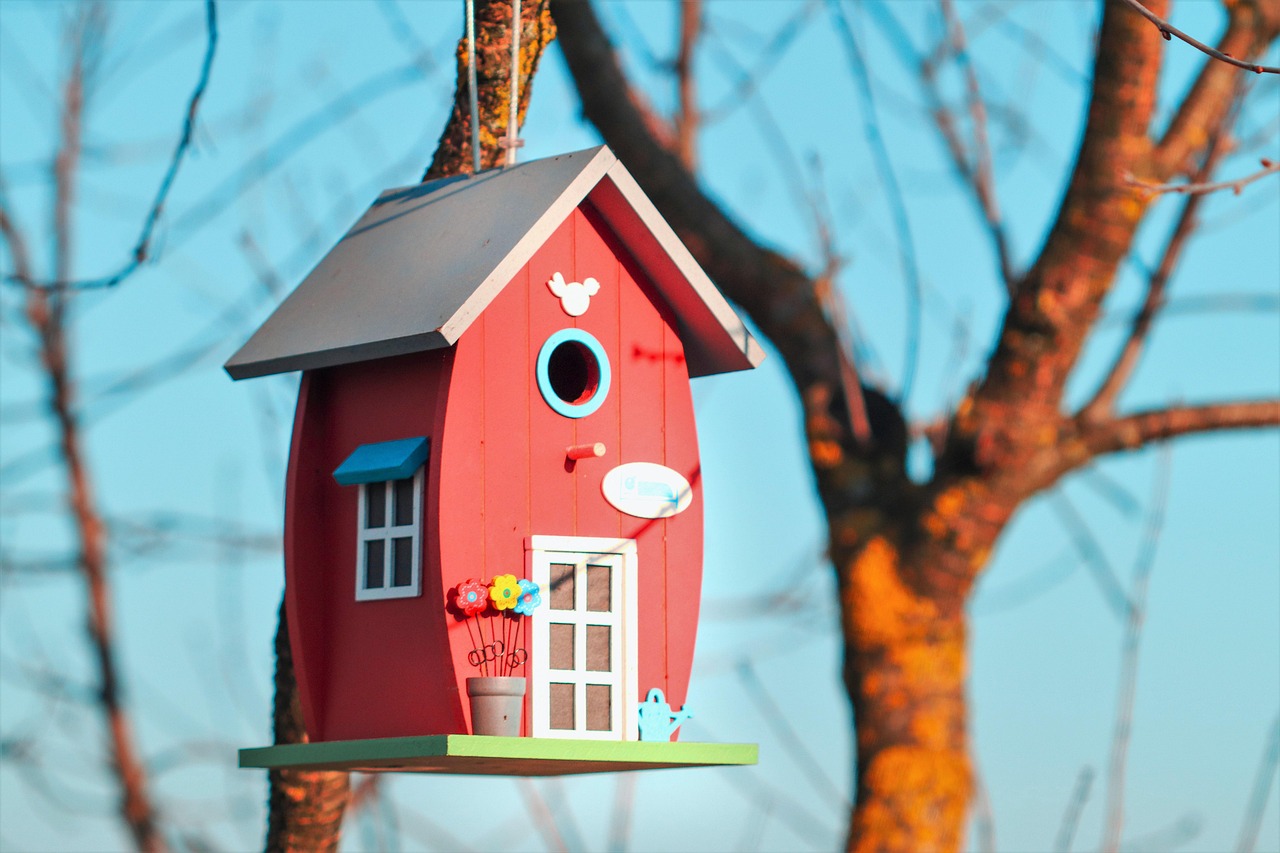 Nichoir et mangeoire pour oiseaux : comment les choisir et les installer