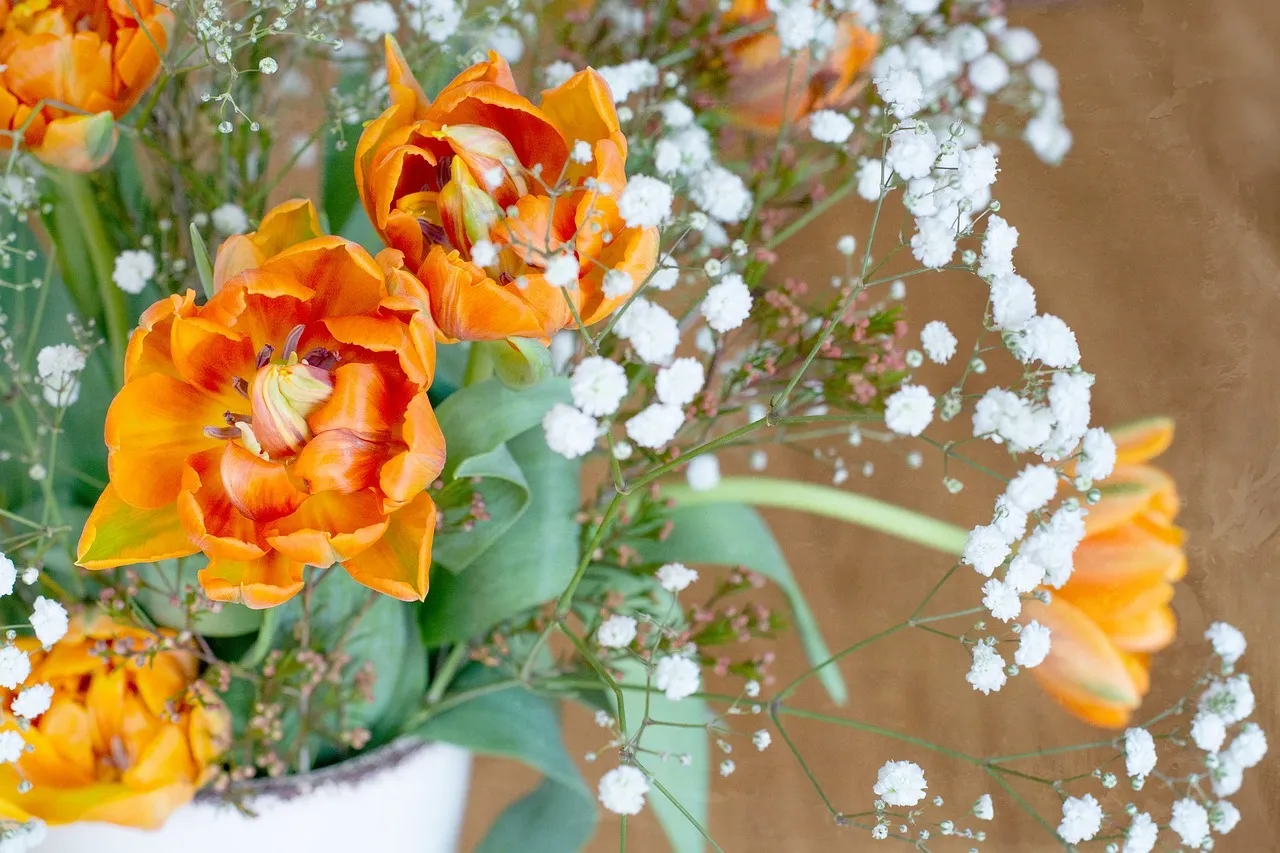 Le gypsophile : tout ce que vous devez savoir sur cette fleur romantique !