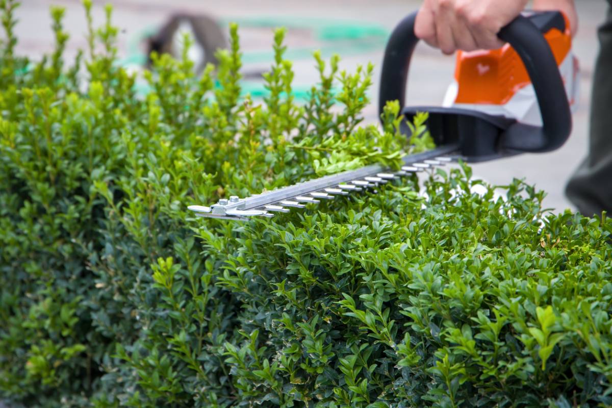 L’entretien paysager professionnel, un choix écoresponsable pour votre jardin