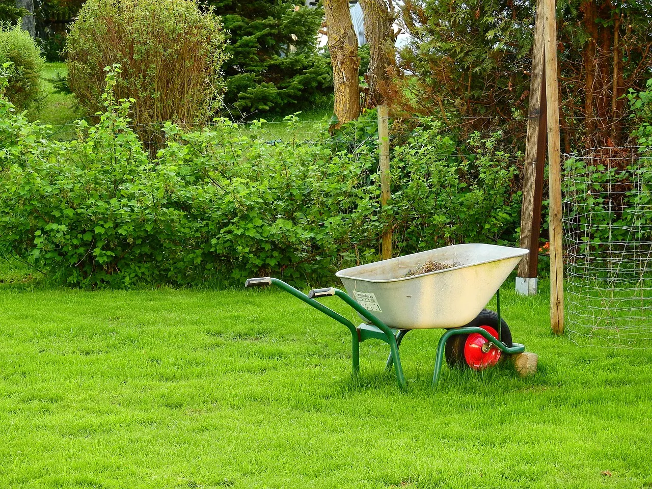 Entretenir sa fosse septique : préserver son jardin et son bon fonctionnement