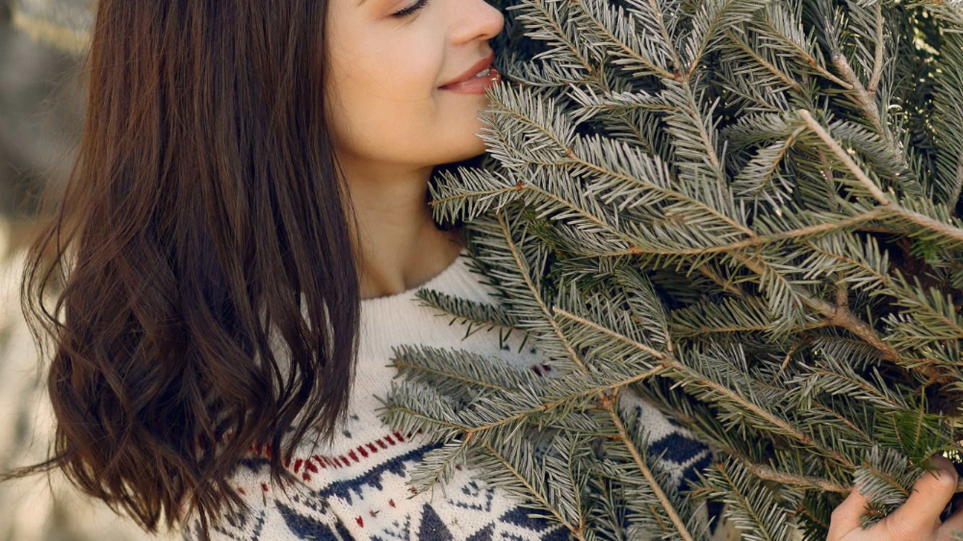 Conseils avisés pour commander un sapin naturel et le faire livrer à domicile