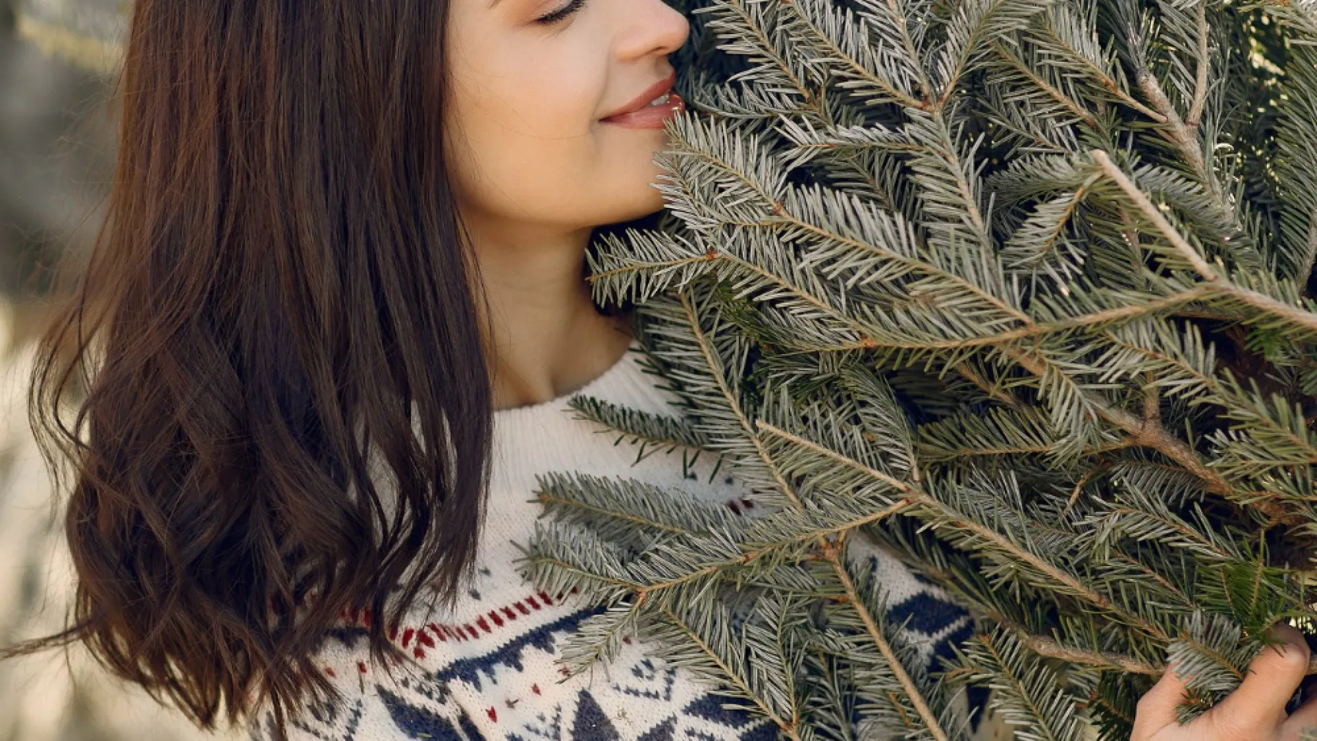 Conseils avisés pour commander un sapin naturel et le faire livrer à domicile