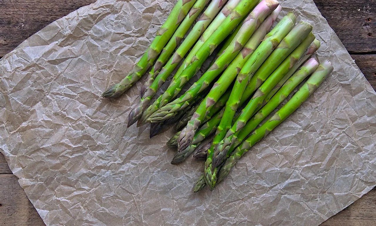 Cultiver ses propres asperges à la maison : un guide complet pour les asparagus