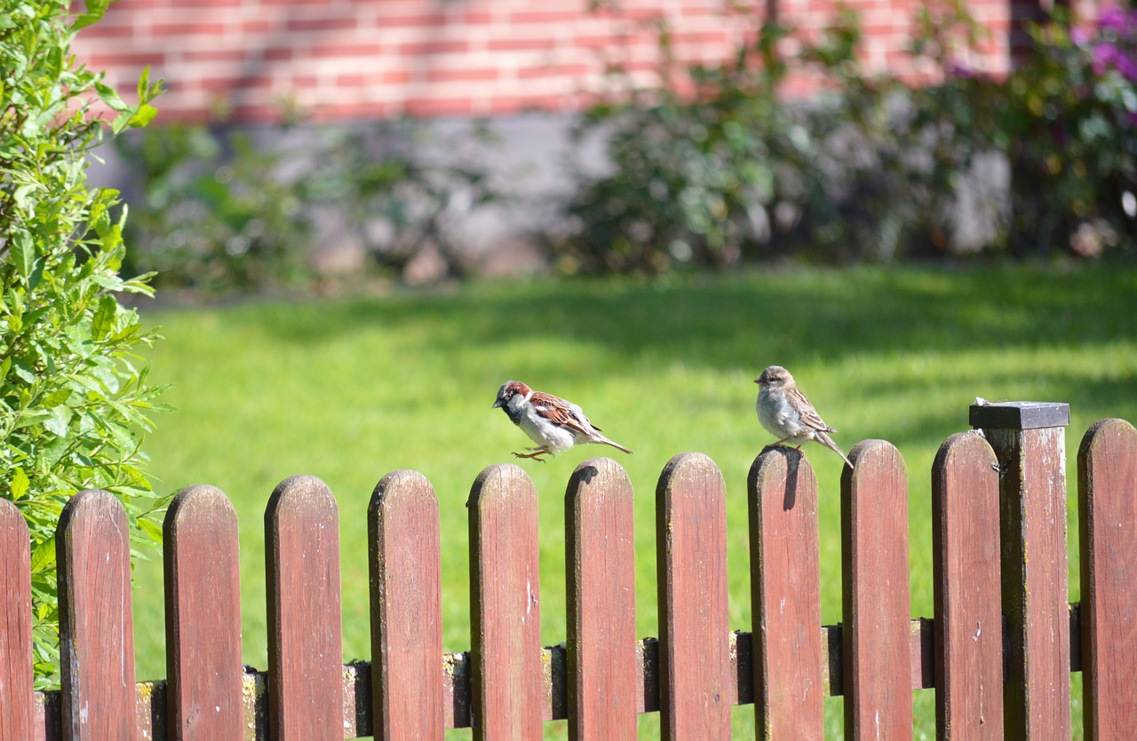 Entretien de jardins à Poitiers : des espaces verts impeccables à portée de main