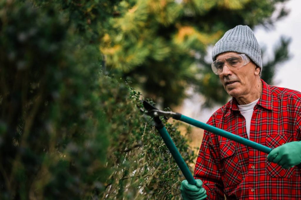 entretien paysager professionnel