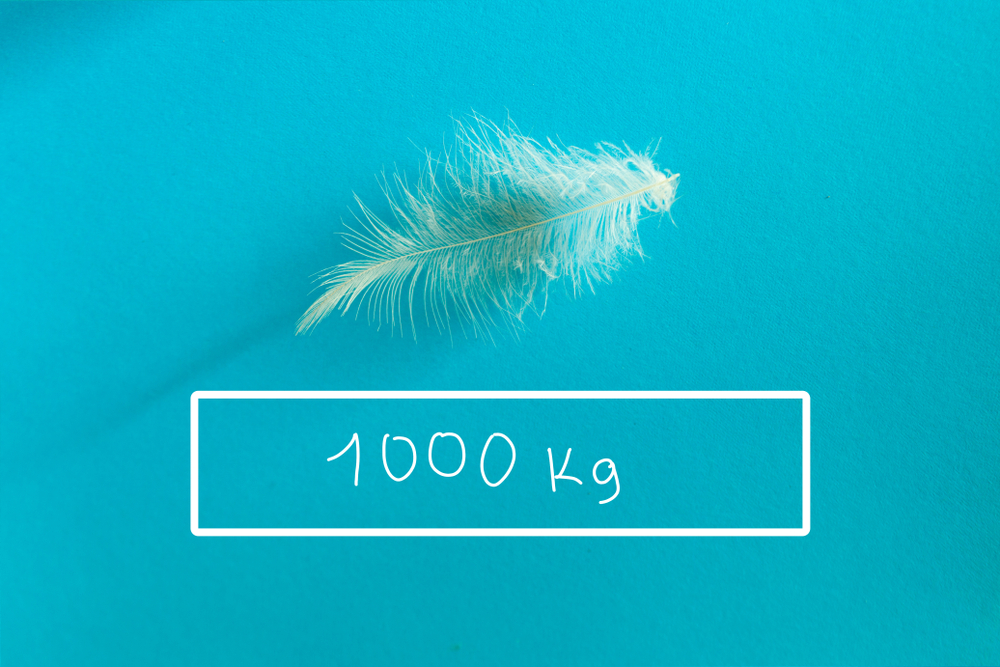 Comment passer du kilo aux tonnes ? Utiliser notre convertisseur !