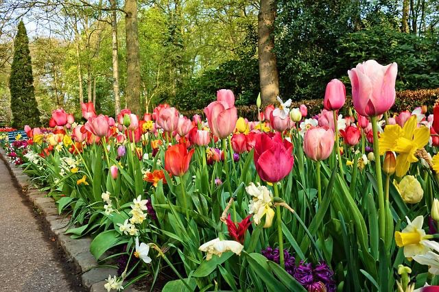Aménagement de votre jardin