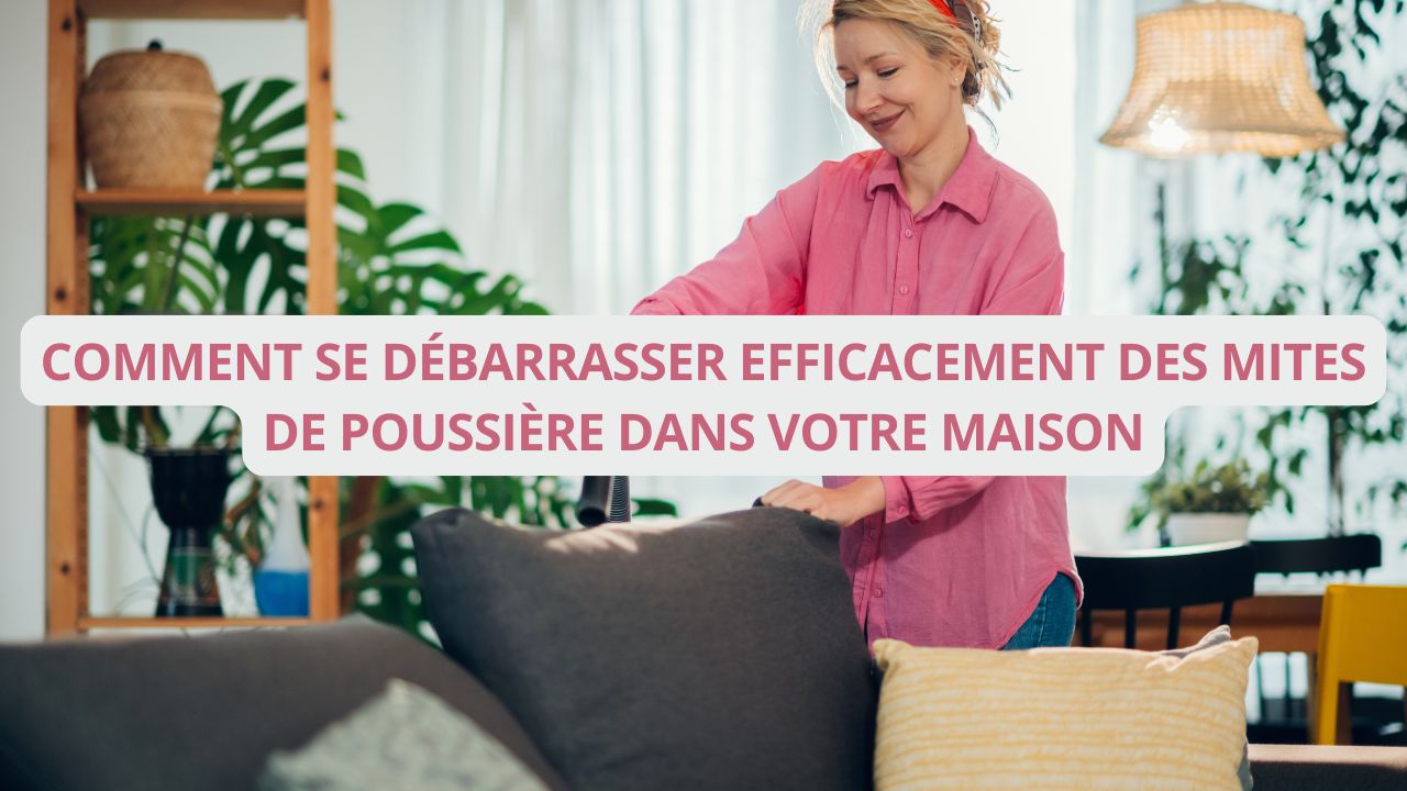 Comment se débarrasser efficacement des mites de poussière dans votre maison