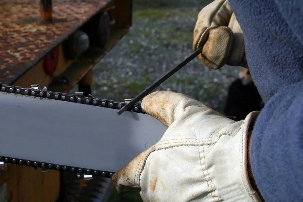 Astuces pour choisir et entretenir les chaînes de tronçonneuses de votre jardin