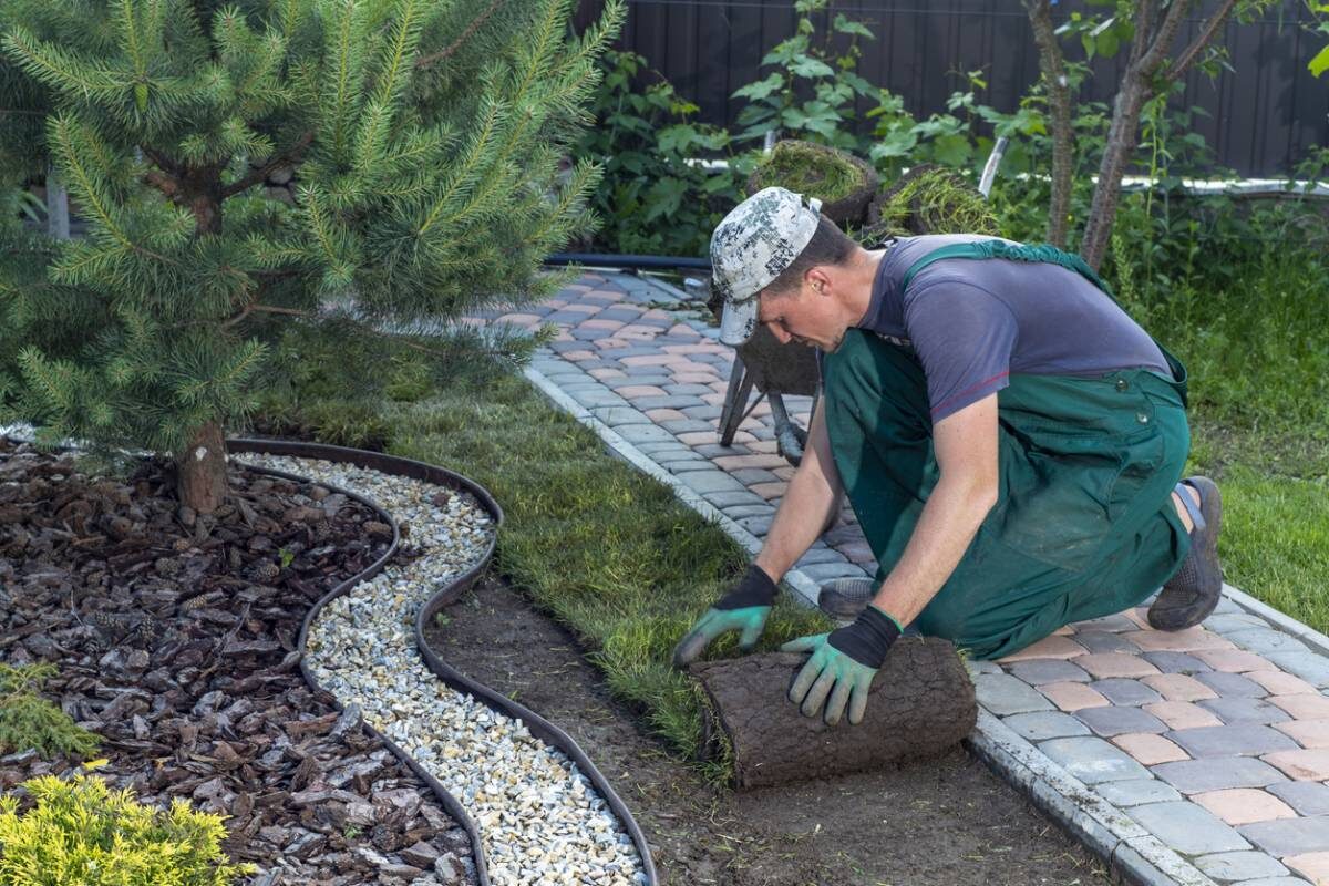 Experts en création de jardin sur mesure : les raisons de les choisir