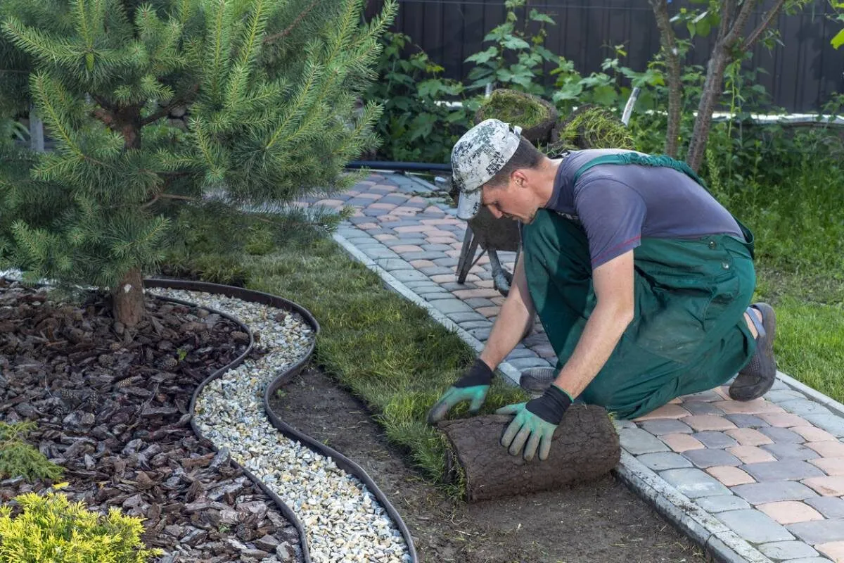 Experts en création de jardin sur mesure : les raisons de les choisir