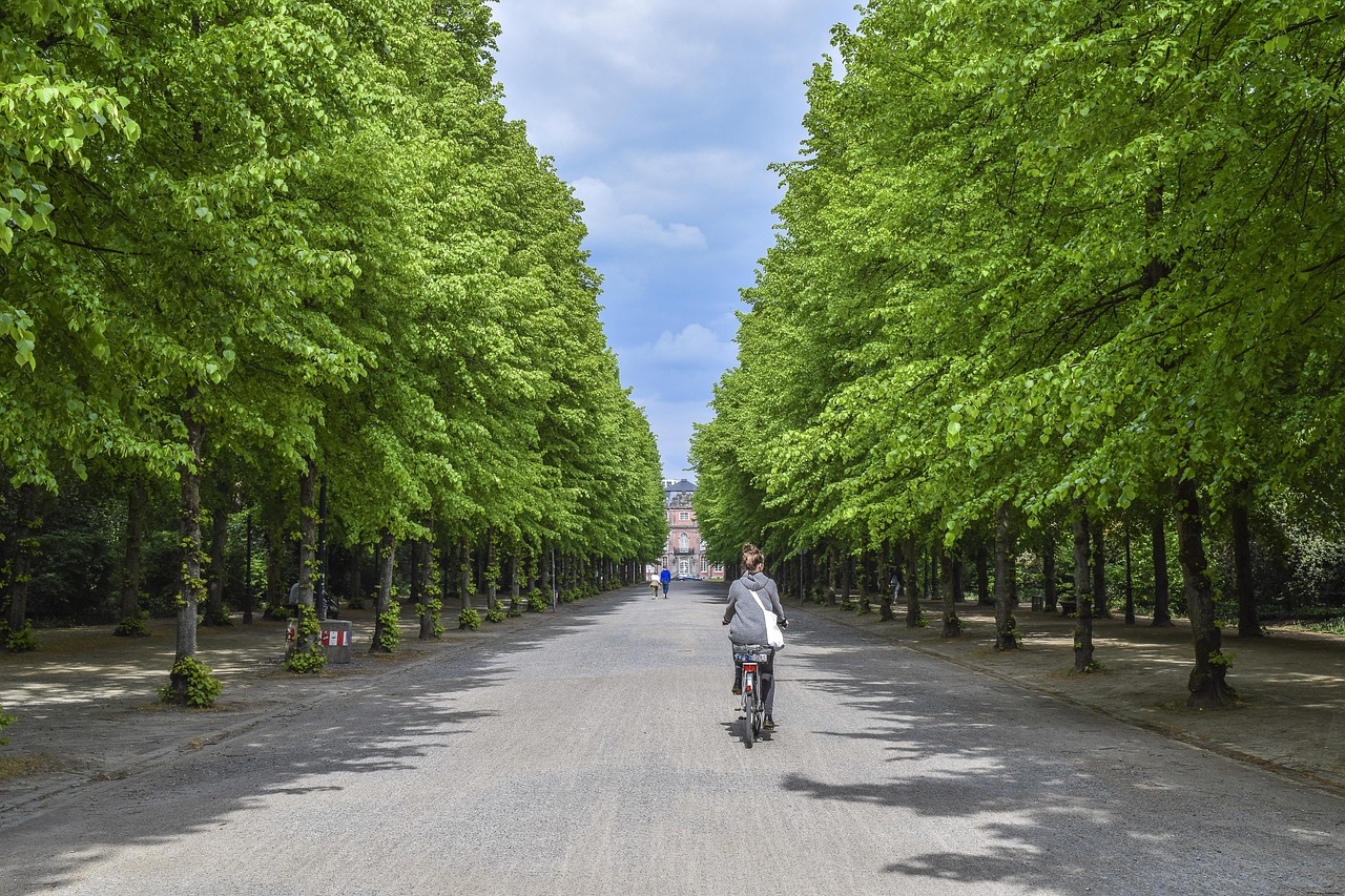 Paysagiste à Lausanne : tendances et bonnes pratiques pour un aménagement durable en Suisse romande