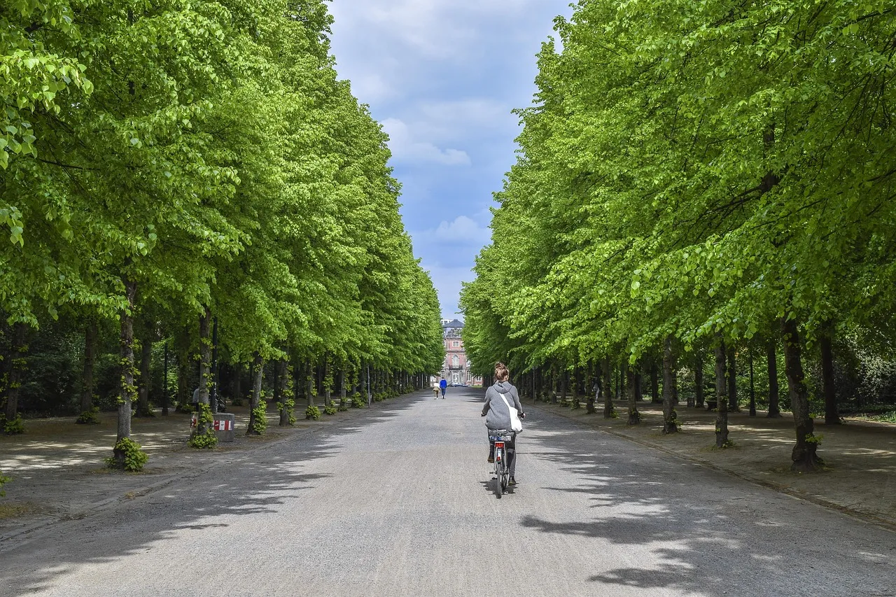 Paysagiste à Lausanne : tendances et bonnes pratiques pour un aménagement durable en Suisse romande