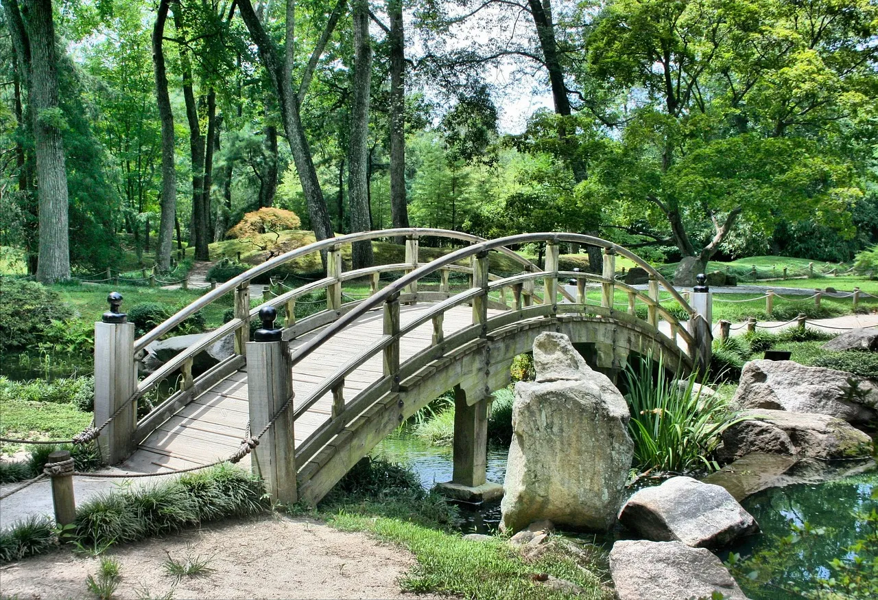 Trouver la fraîcheur autrement : l’art de l’ombre naturelle au jardin