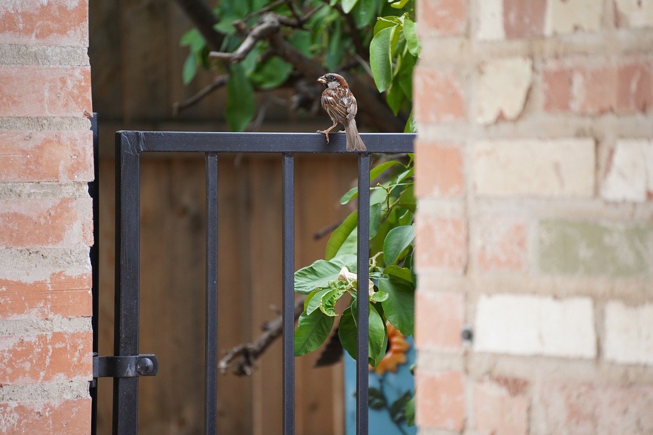 portillon de jardin