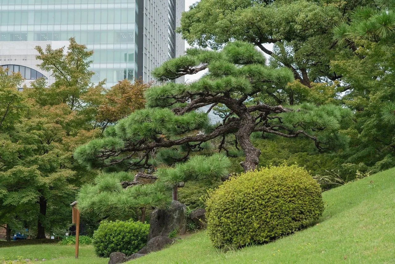 aménagement jardin