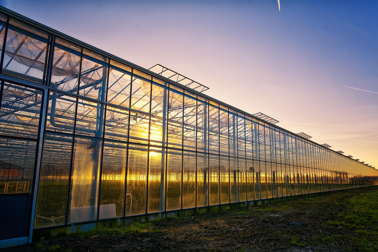 serre de jardin made in france